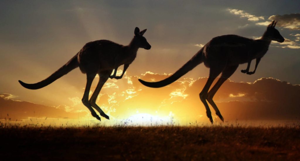 Australian sunrise